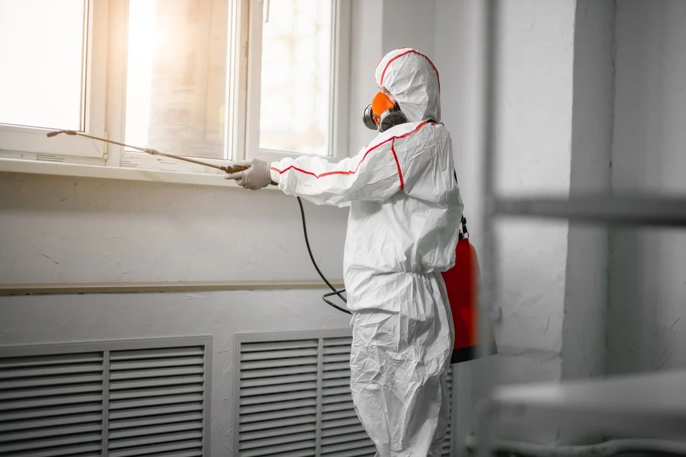 Professional mold remediation services in Alpine, AL